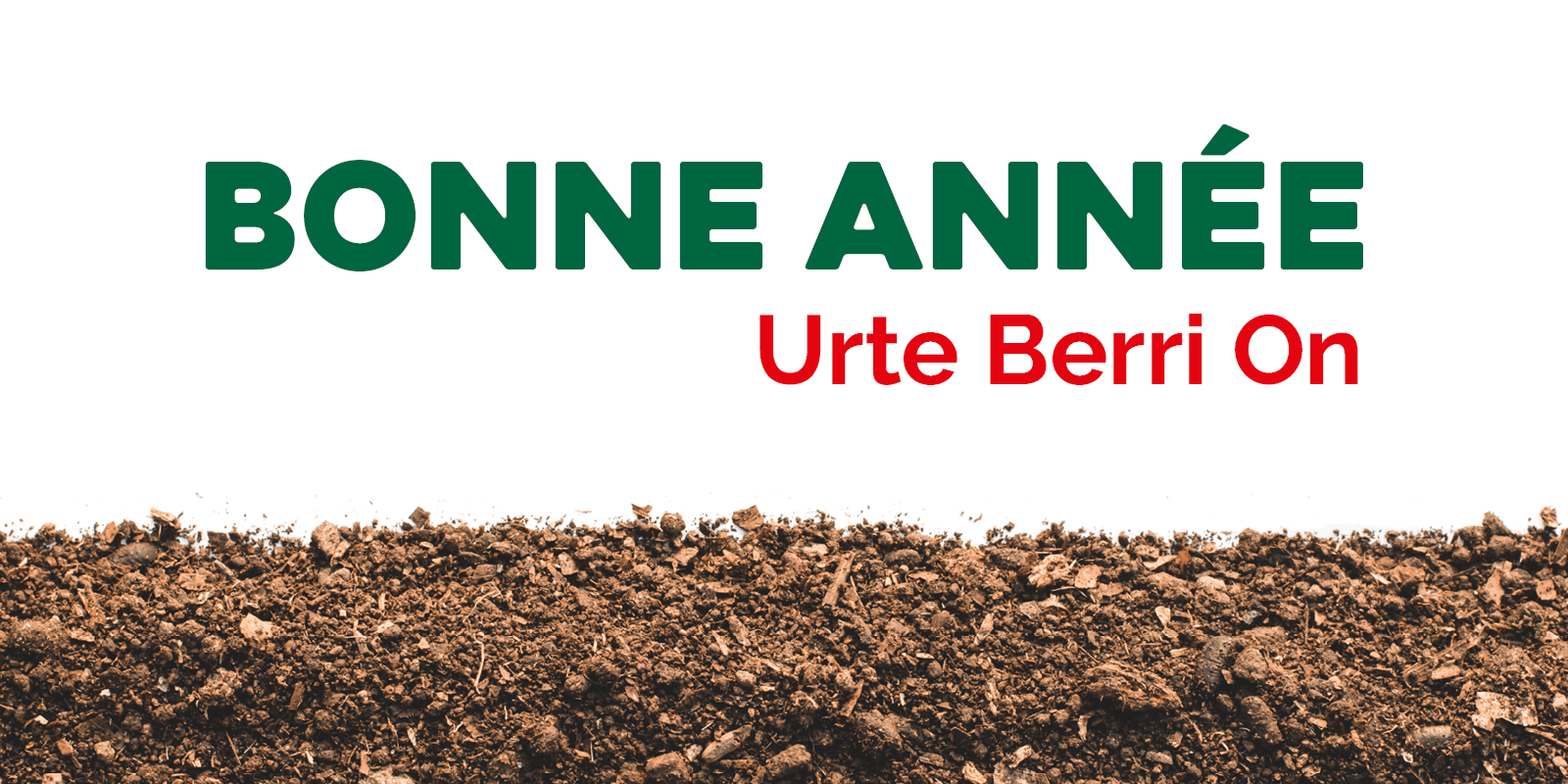 Bonne année 2026