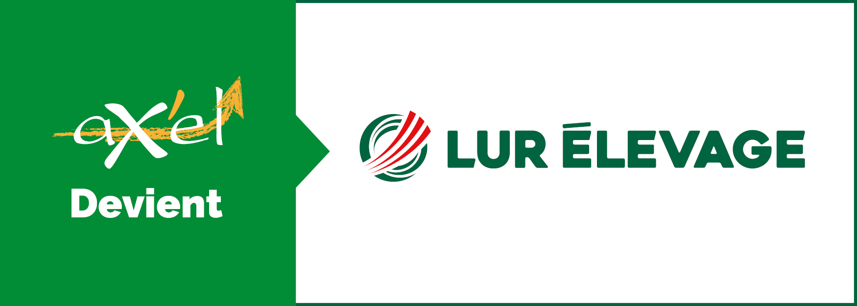 Ax'El devient Lur Élevage
